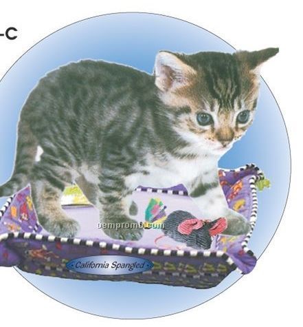 California Spangled Cat Acrylic Coaster W/ Felt Back