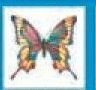 Stock Temporary Tattoo - Pastel Butterfly W/ Yellow Edge (2"X2")