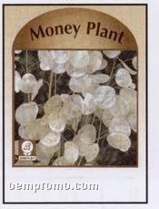 Money Plant Stock Designs Seed Packets - Imprinted