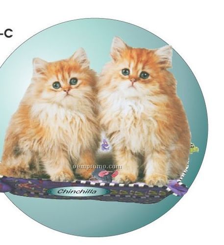 Chinchilla Cat Acrylic Coaster W/ Felt Back