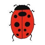 Stock Temporary Tattoo - Ladybug (2"X2")