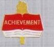 Scholastic Award Pin - Achievement