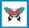 Stock Temporary Tattoo - Racecar Butterfly W/ Zebra Tail (2"X2")