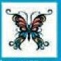 Stock Temporary Tattoo - Tribal Ribbon Butterfly 14 (2"X2")