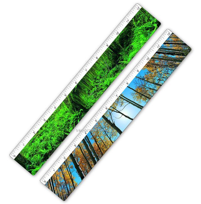 Ruler W/ Rainforest / Forest Trees Lenticular Flip Effect (Blanks)