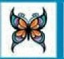 Stock Temporary Tattoo - Rainbow Teardrop Butterfly 25 (2"X2")