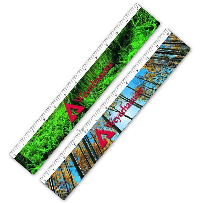 Ruler W/ Rainforest / Forest Trees Lenticular Flip Effect (Imprint)