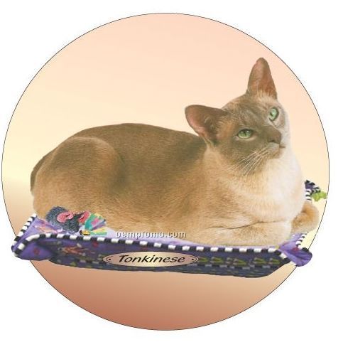 Tonkinese Cat Acrylic Coaster W/ Felt Back