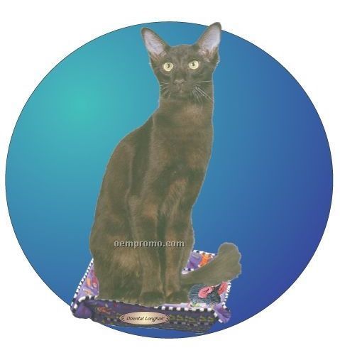 Oriental Longhair Cat Acrylic Coaster W/ Felt Back