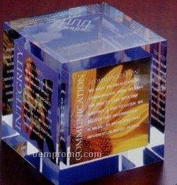 Cube Lucite Embedment