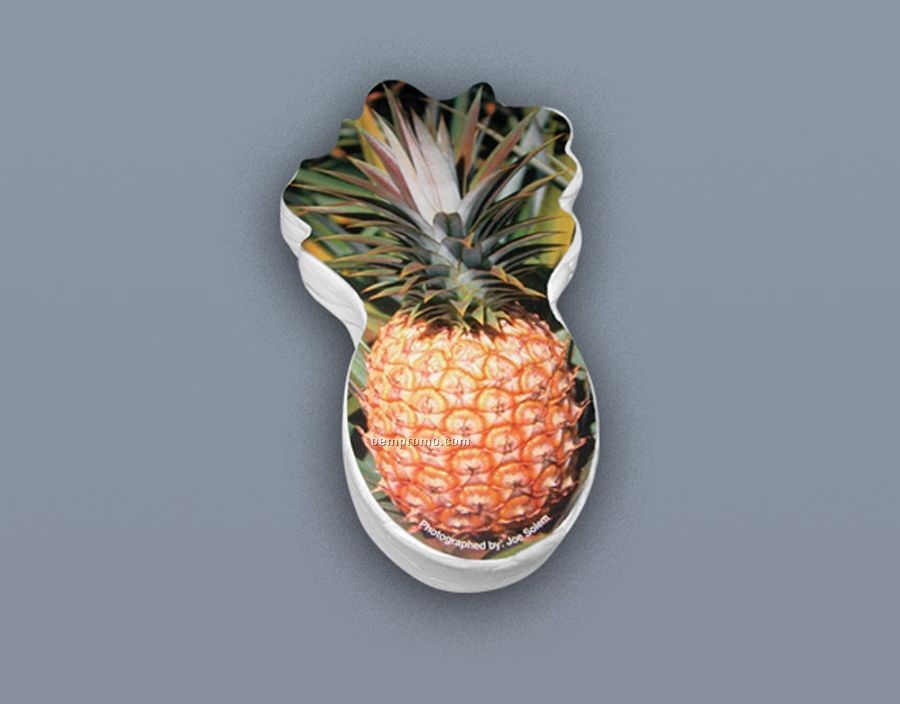 Compressed 100% Cotton T-shirt Pineapple Stock Shape (S-xl)