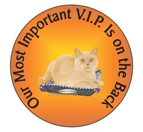 British Shorthair Cat Round Hand Mirror (2 1/2