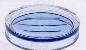 Prism Acrylic Soap Dish W/ Blue Reflective Bottom