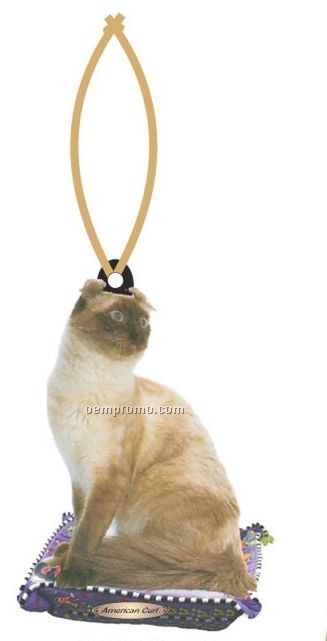 American Curl Cat Executive Ornament W/ Mirrored Back (10 Square Inch)