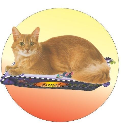 Somali Cat Acrylic Coaster W/ Felt Back