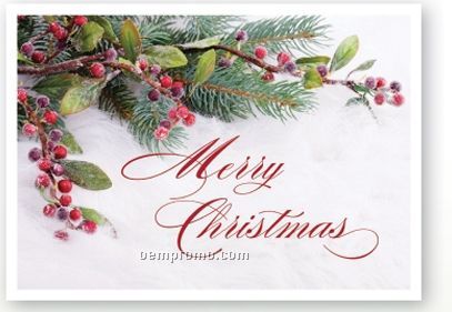 Frosted Berries Economy Christmas Card W/ Unlined Envelope