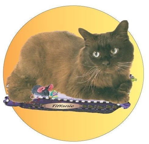 Tiffanie Cat Acrylic Coaster W/ Felt Back