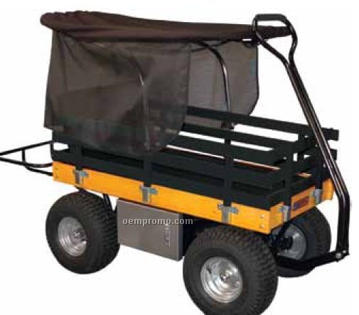 Wagon With Removable Side Rails & Canopy