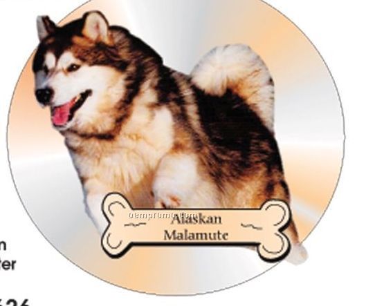 Alaskan Malamute Dog Acrylic Coaster W/ Felt Back