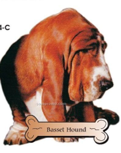 Basset Hound Dog Acrylic Coaster W/ Felt Back