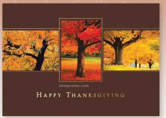 Autumn's Canopy Thanksgiving Card W/ Lined Envelope