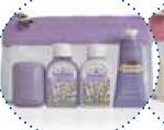 Lavender Traveler Pack