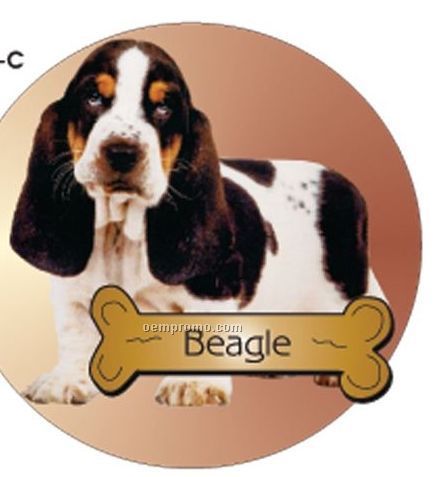 Beagle Dog Acrylic Coaster W/ Felt Back