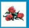 Stock Temporary Tattoo - Red Triple Roses W/ Leaves (2"X2")