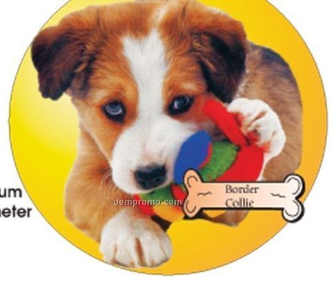 Border Collie Dog Acrylic Coaster W/ Felt Back
