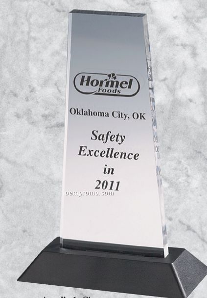Acrylic Professional Gallery Letter Shaped Awards