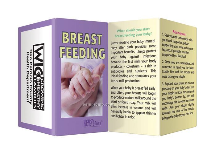 Key Points Brochure - Breast Feeding Basics