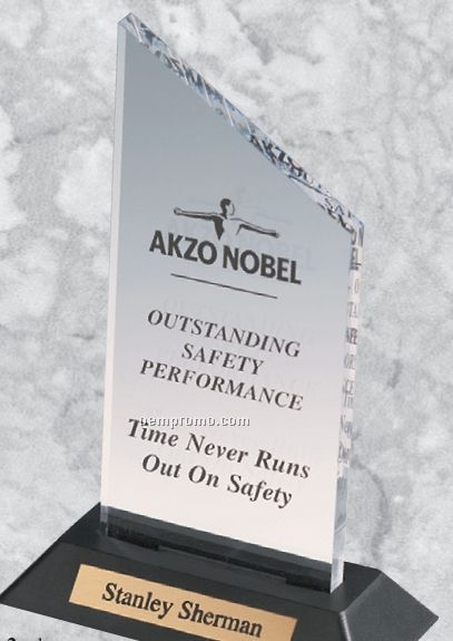 Acrylic Professional Gallery Slanted Top Awards