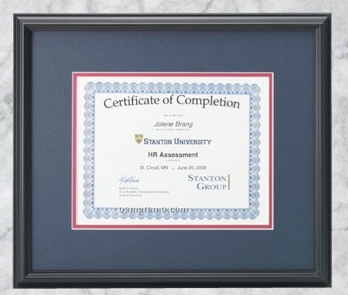 Professional Gallery Award Plaques W/ Certificate