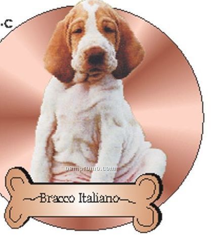 Bracco Italiano Dog Acrylic Coaster W/ Felt Back