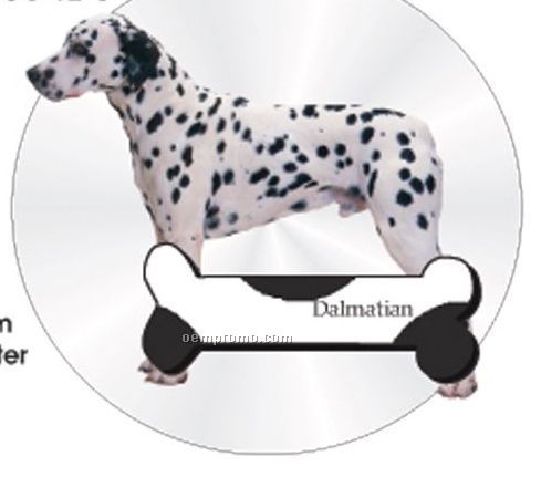Dalmatian Dog Acrylic Coaster W/ Felt Back