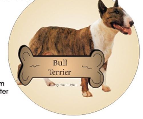Bull Terrier Dog Acrylic Coaster W/ Felt Back