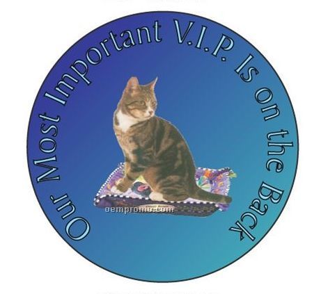 Brown Tabby Cat Round Hand Mirror (2 1/2")