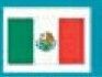 Flag Stock Temporary Tattoo - Mexico Flag (2"X1.5")