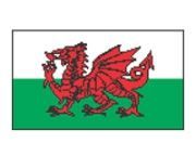 Flag Stock Temporary Tattoo - Wales Flag (2"X1.5")