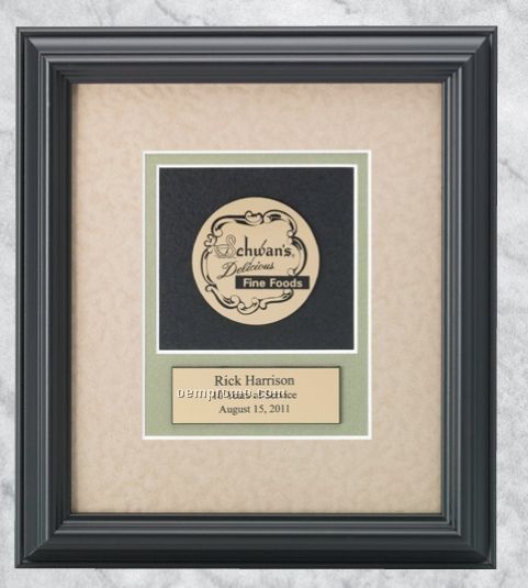 Professional Gallery Award Plaques W/ Gold Medallex Medallion