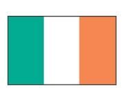 Flag Stock Temporary Tattoo - Ireland Flag (2