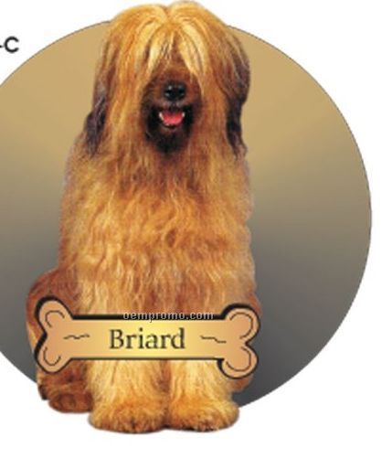 Briard Dog Acrylic Coaster W/ Felt Back