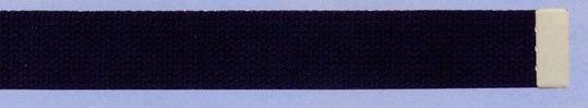 Plain Web Belt With Leather Tip (Black)