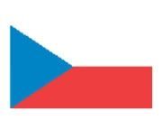Flag Stock Temporary Tattoo - Czech Republic Flag (2