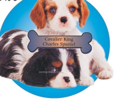 Spaniel Dog Acrylic Coaster W/ Felt Back