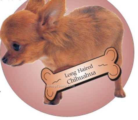 Long Haired Chihuahua Dog Acrylic Coaster W/ Felt Back