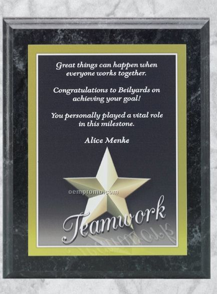 Professional Gallery Award Plaques W/ Teamwork Plate