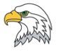 Stock Bald Eagle Head Mascot Eagl001