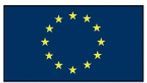 Council Of Europe Internationaux Flag - 16 Per String (30')