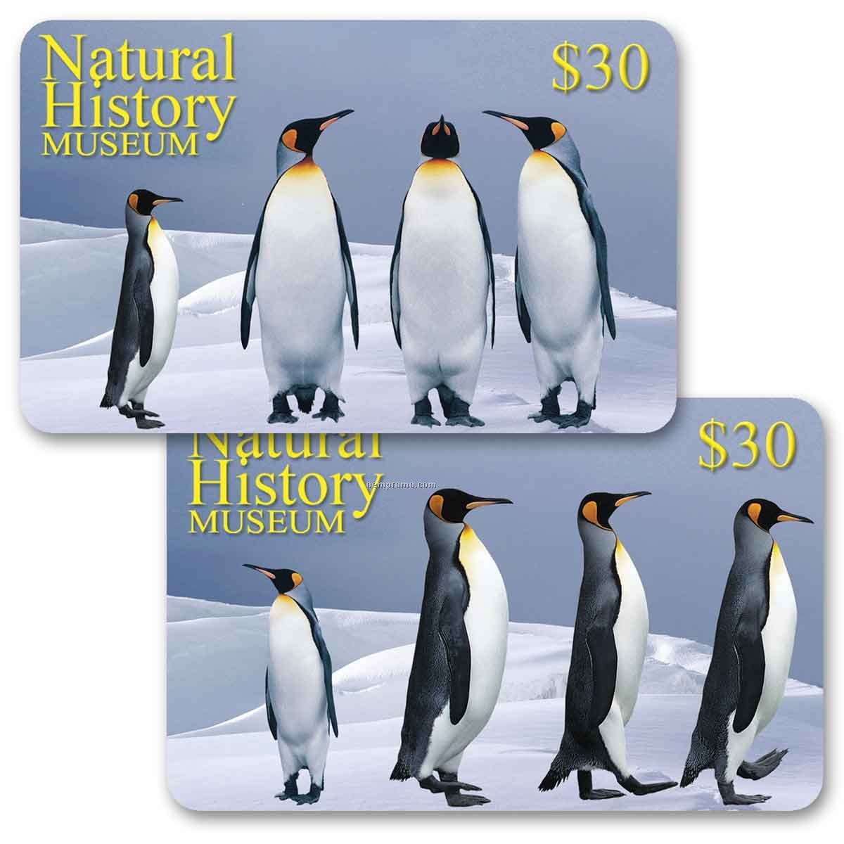 3d Lenticular Gift Card W/Animated Penguins Images (Custom)